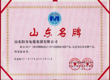 陽谷電纜集團(tuán)2015電線電纜十大品牌